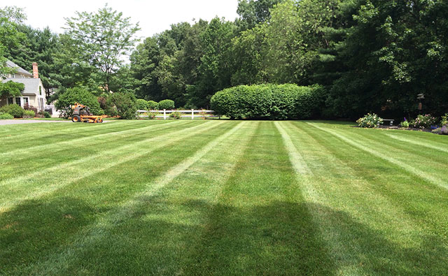 grass-pic_orig